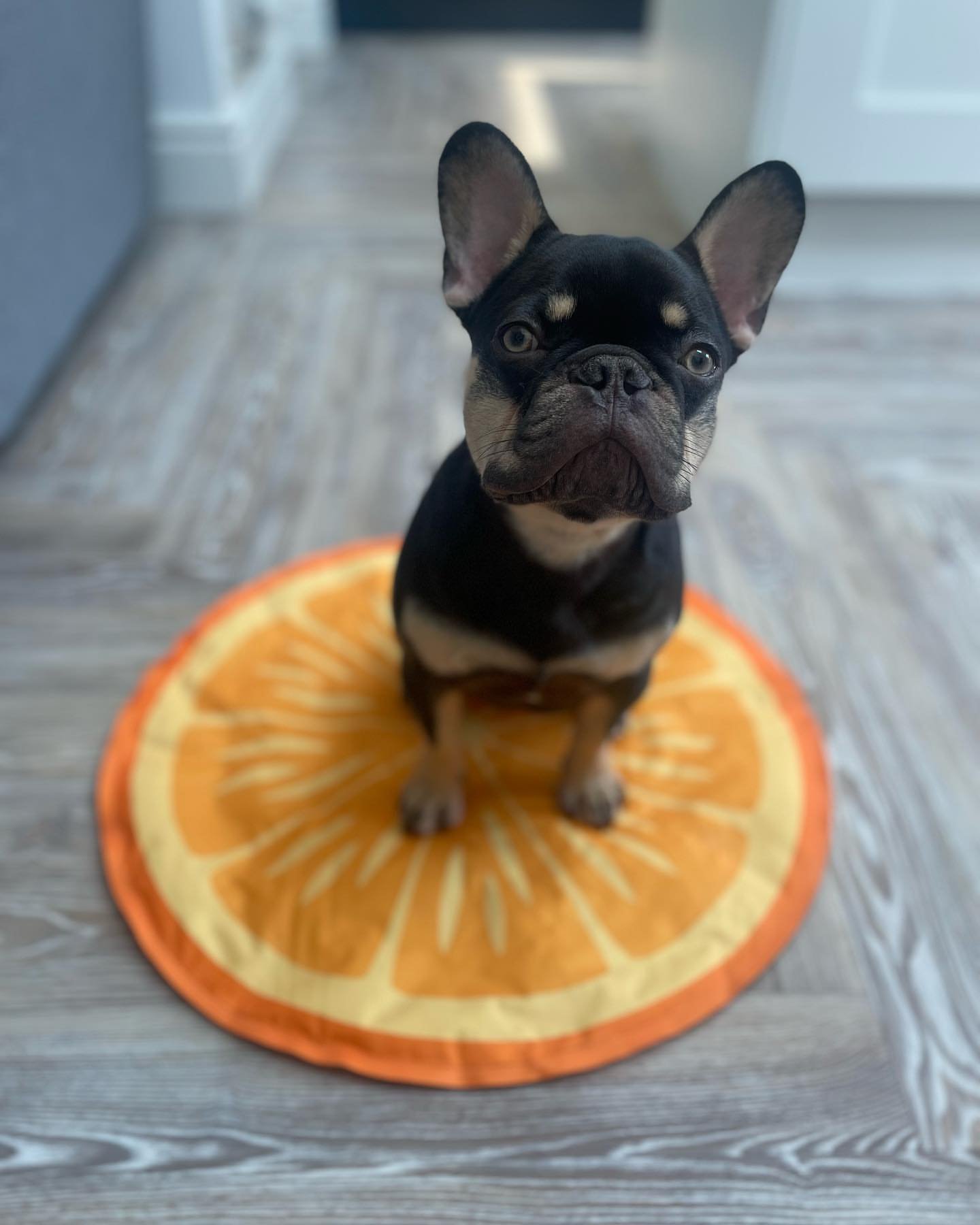 gaston one year 8 months gaston one year 8 months