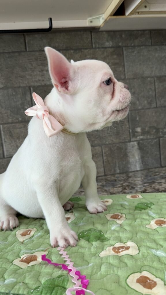 img 1948 576×1024 (1) img 1948 576x1024 (1)