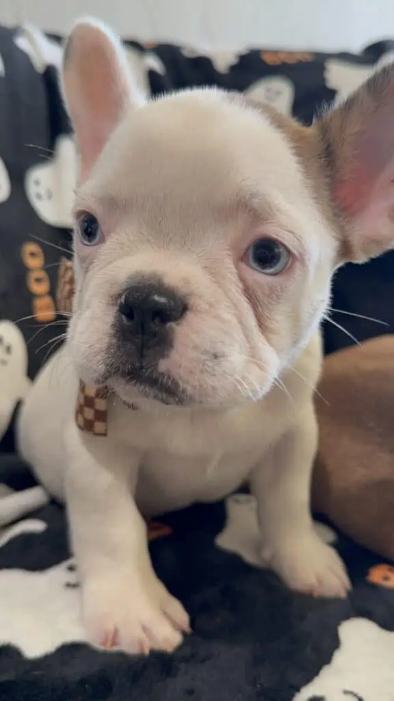 img 7003 576×1024 img 7003 576x1024