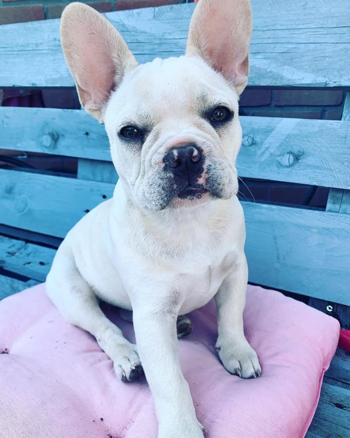 lunna six months lunna six months