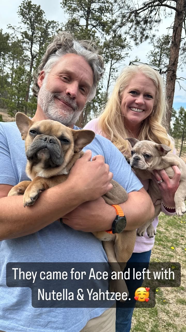 Testimonials amanda frenchies (13)