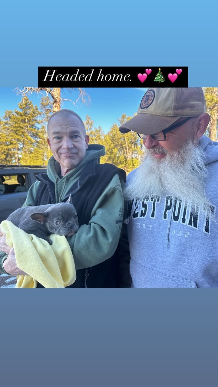 amanda frenchies (19)