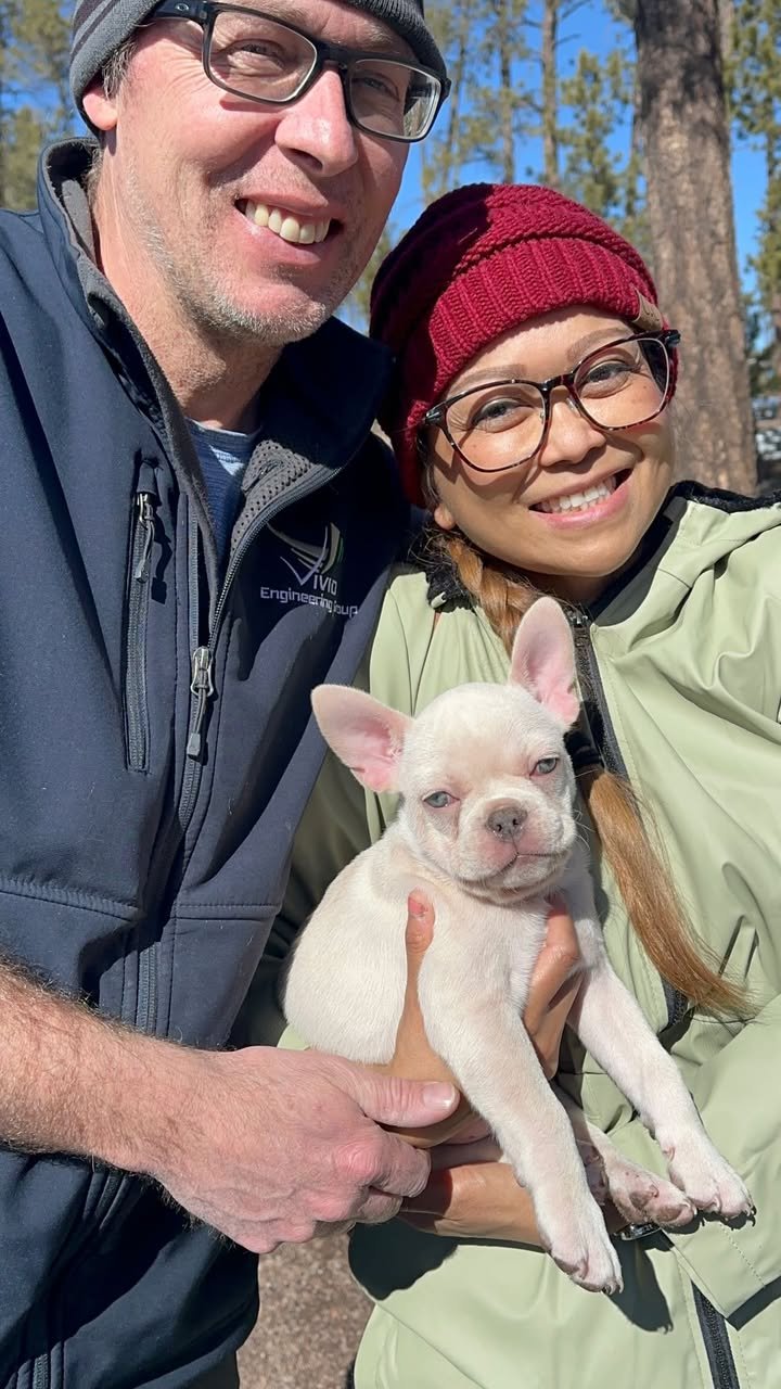 amanda frenchies (20)