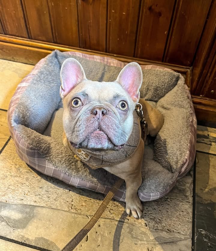 kasper nine months kasper nine months