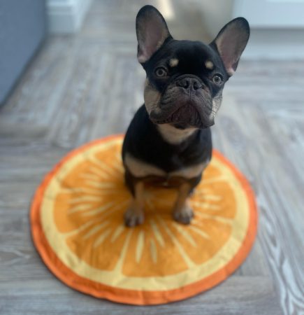gaston one year 8 months