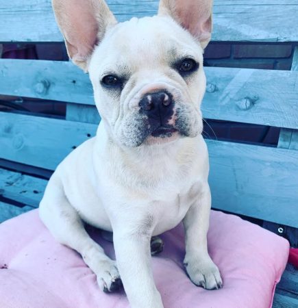 lunna six months